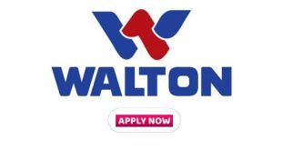 walton group job circular 2025