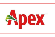 apex footwear job