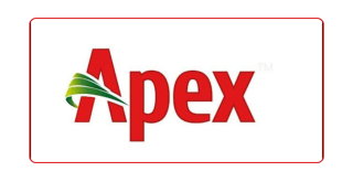 apex footwear job