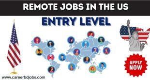 Remote Jobs in the US Entry Level